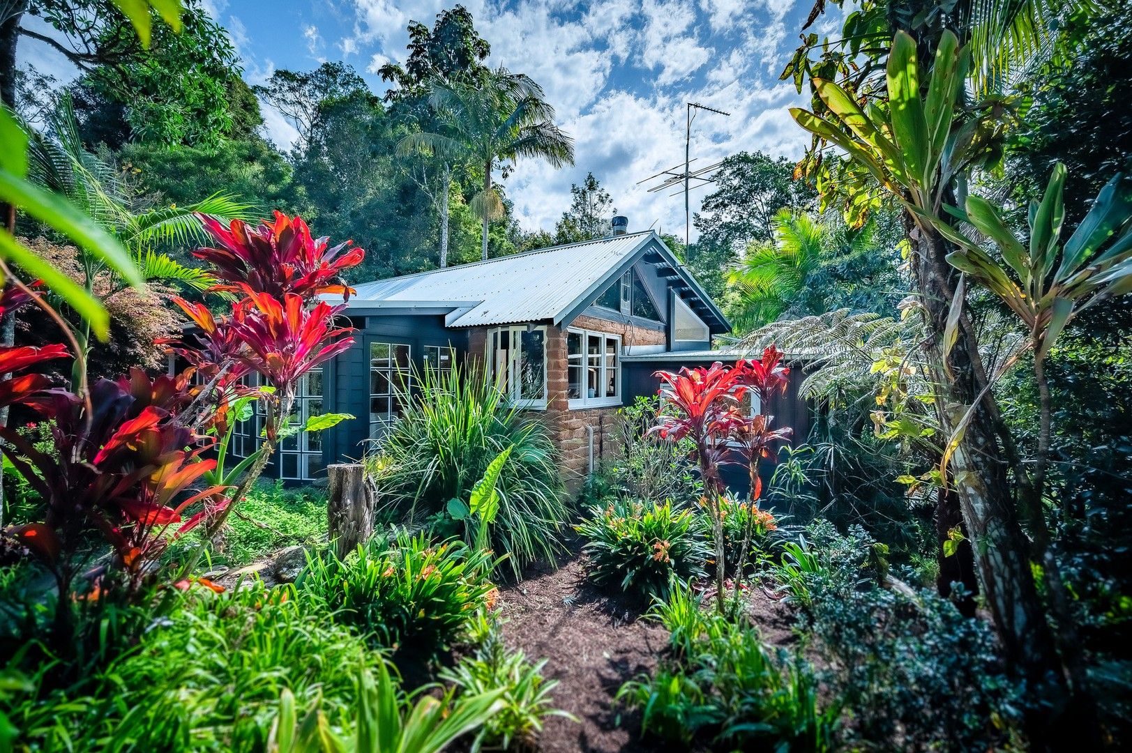 1245 Kalang Road, Bellingen NSW 2454, Image 0