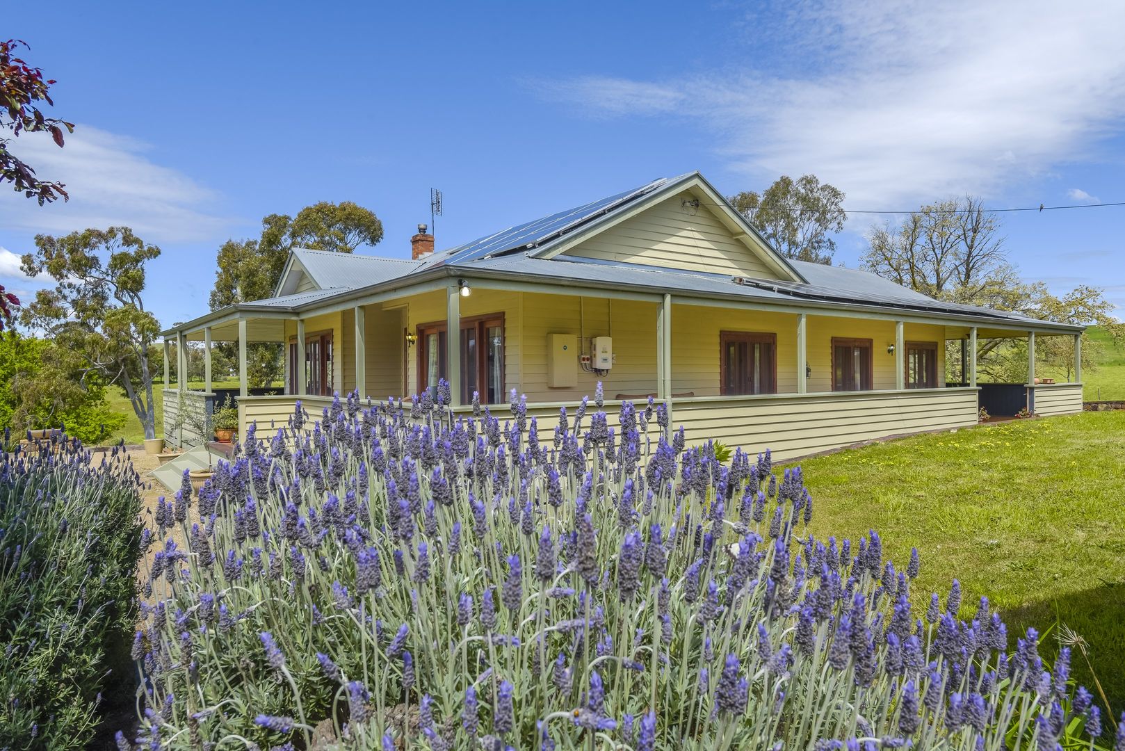 80 Sievers Lane, Glenhope VIC 3444, Image 1