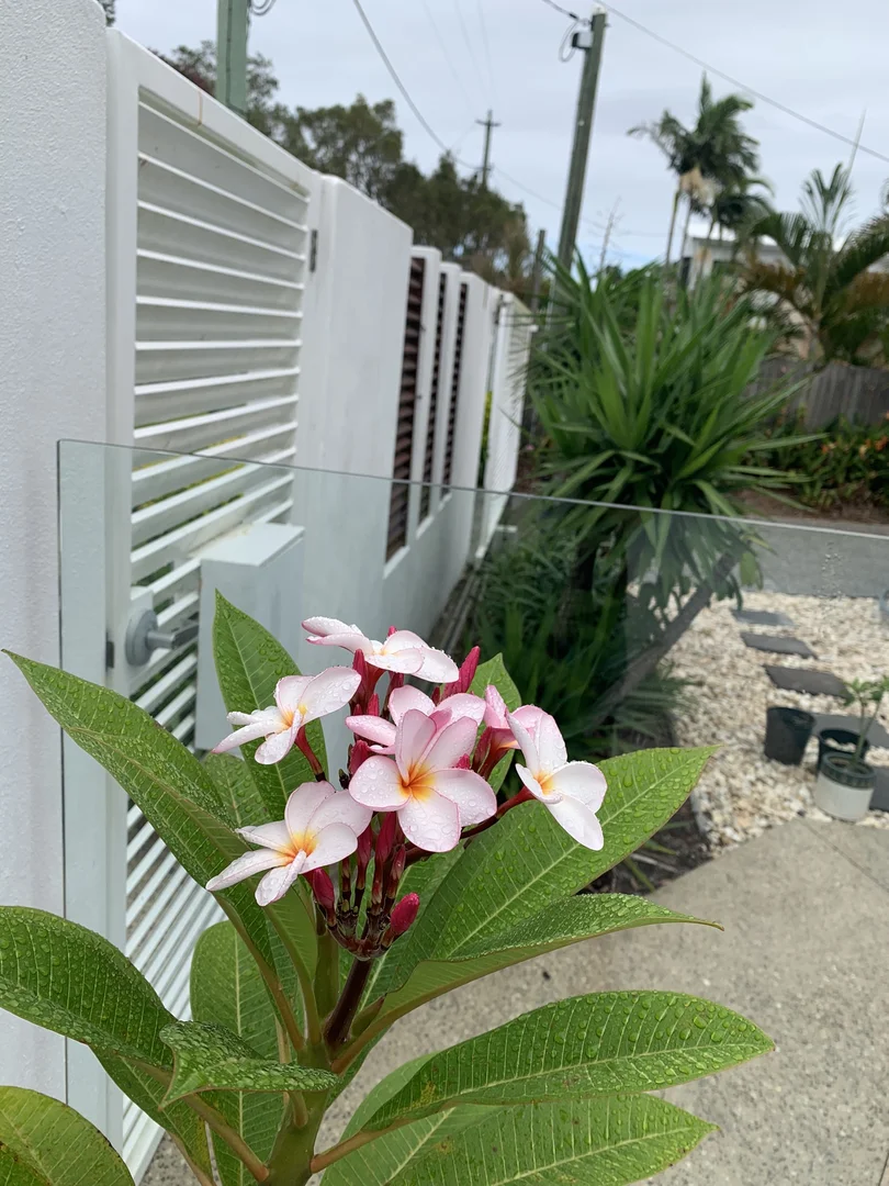 Additional image 19 of 15 Mistral Avenue, Coolum Beach QLD 4573