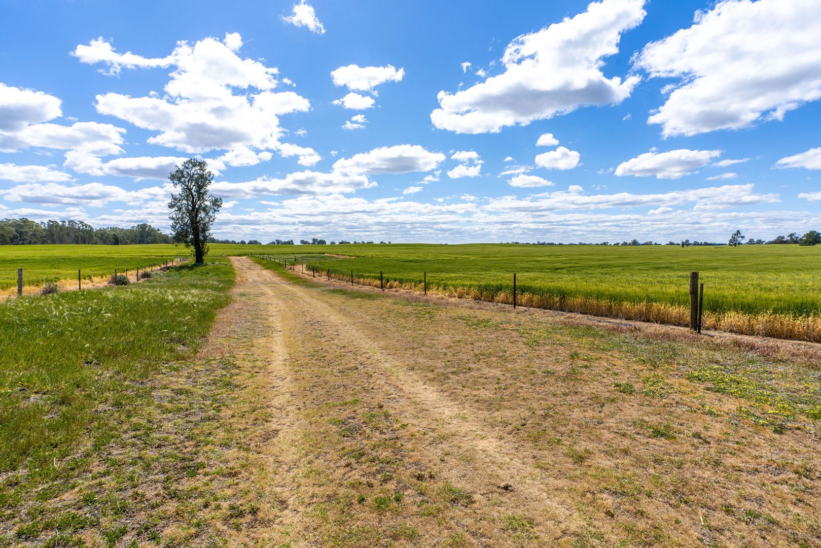 Lot 2/3703 Lot 2/3703 Barooga-Tocumwal Road,, Barooga NSW 3644, Image 2