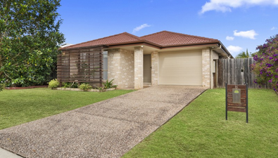 Picture of 8 Baptisia Circuit, CABOOLTURE QLD 4510