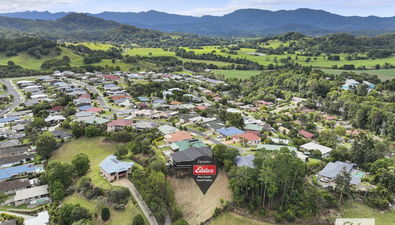 Picture of 23 The Plateau, MURWILLUMBAH NSW 2484