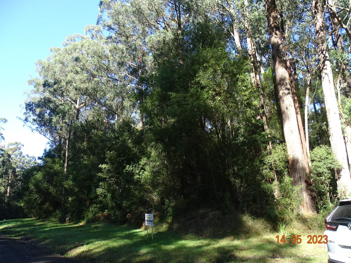 450 Morris Track, Lavers Hill VIC 3238, Image 1