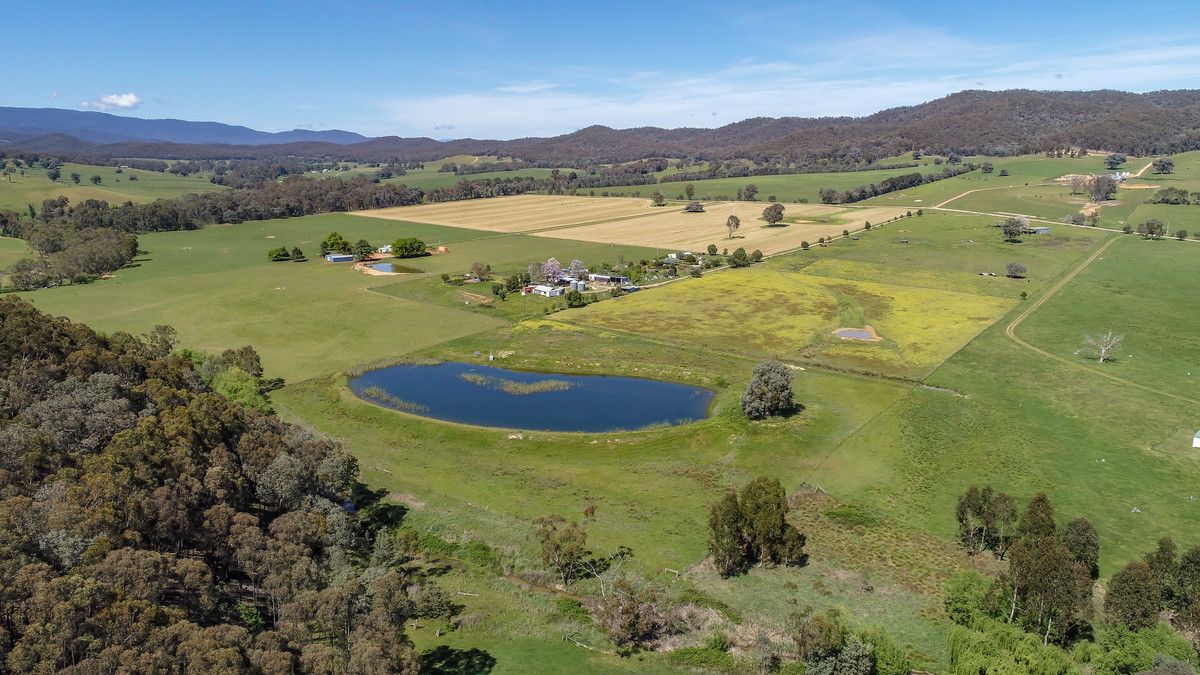 1303 Moyhu-Meadow Creek Road, Meadow Creek VIC 3678, Image 1