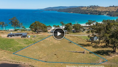 Picture of 69 Dunn Drive, SURVEYORS BAY TAS 7116