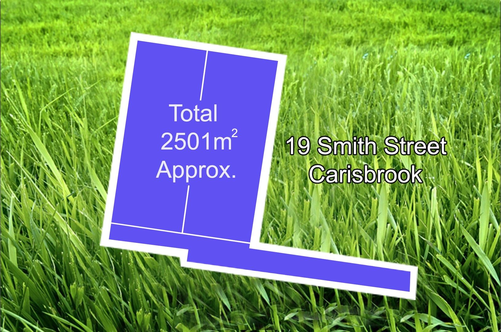 19 Smith Street, Carisbrook VIC 3464 Domain