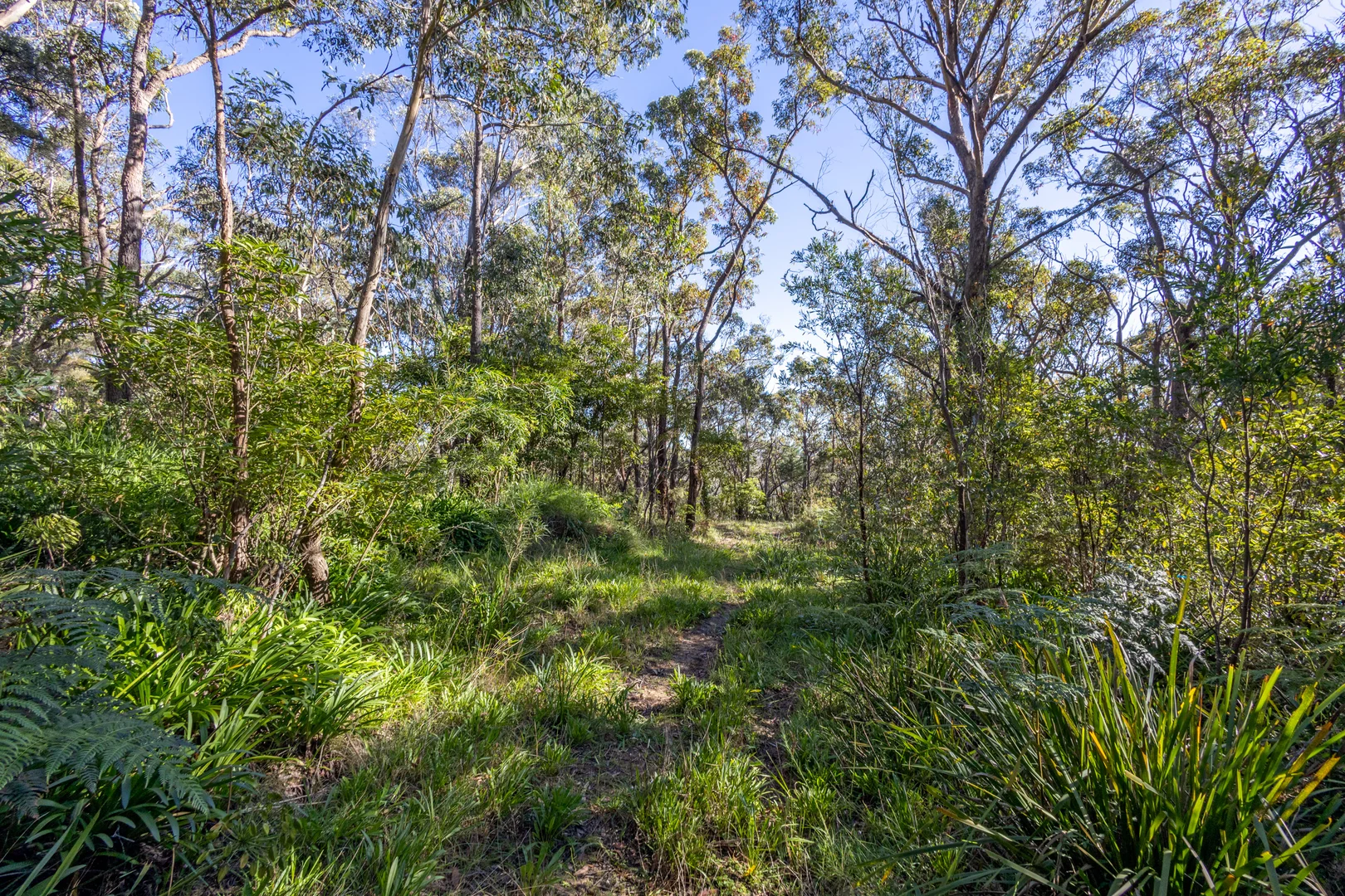 Additional image 8 of 23 Lurline Street, Wentworth Falls NSW 2782