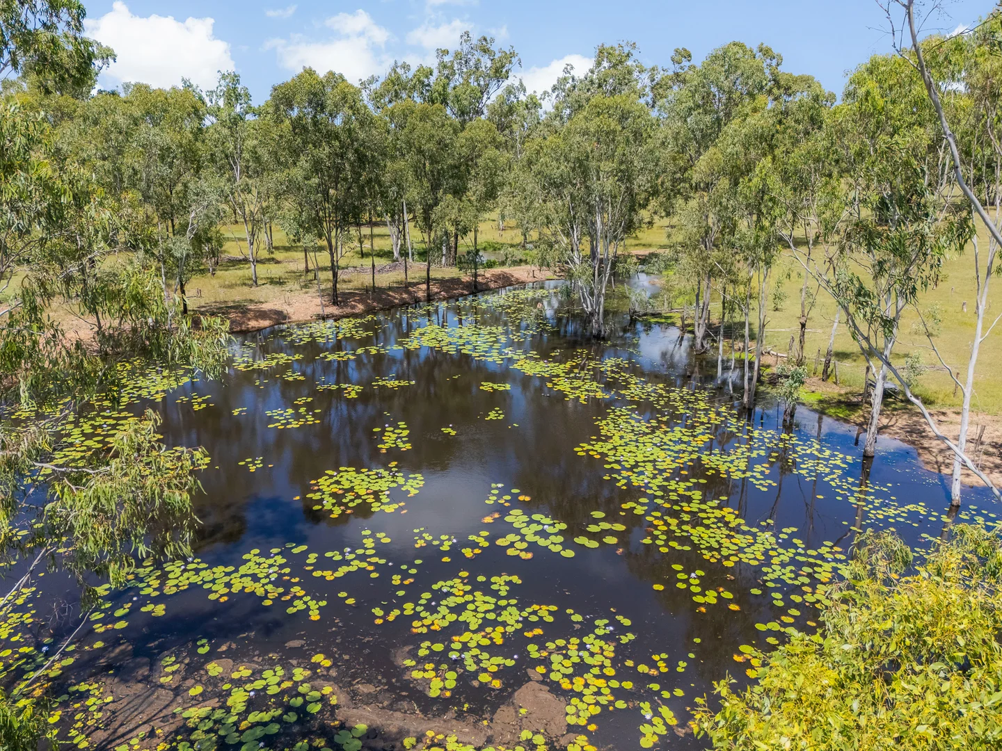 Additional image 24 of 54334 Bruce Highway, Ambrose QLD 4695