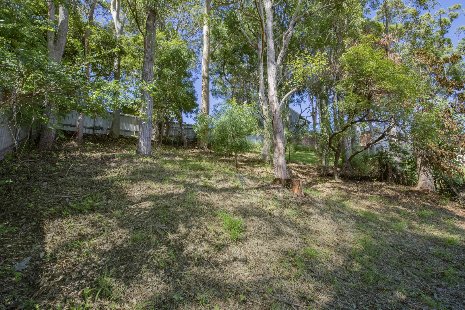 Image 14