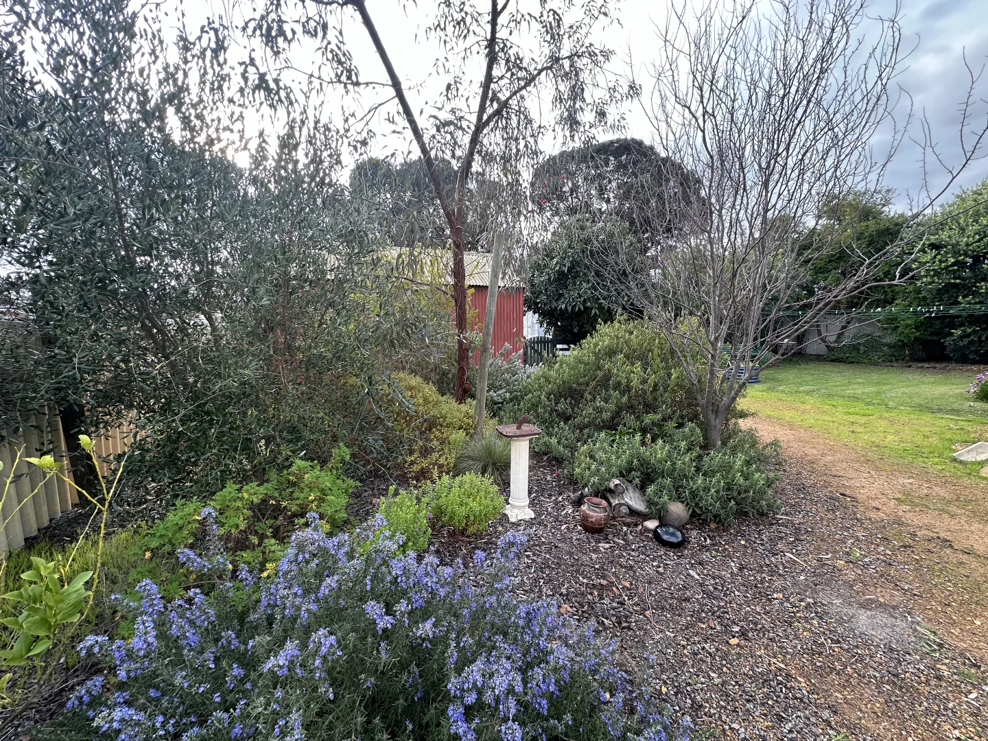 Image 39