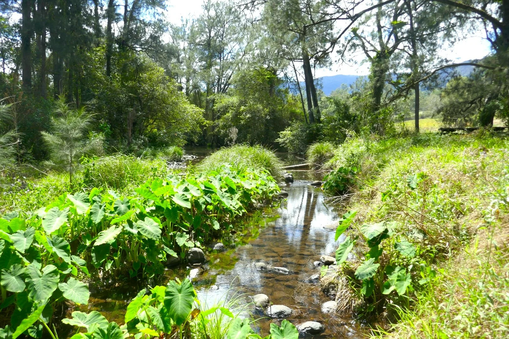 Image 10