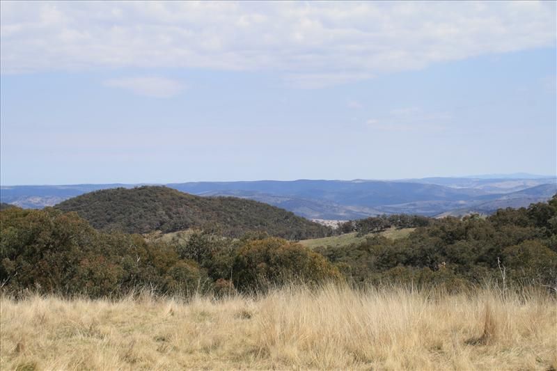 Turondale NSW 2795, Image 1