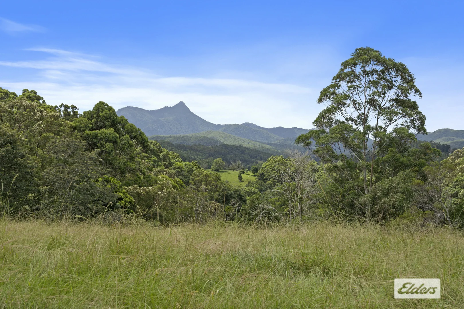 Image 20