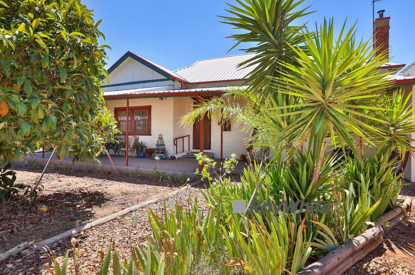 229 Carwarp Avenue, Irymple VIC 3498, Image 0