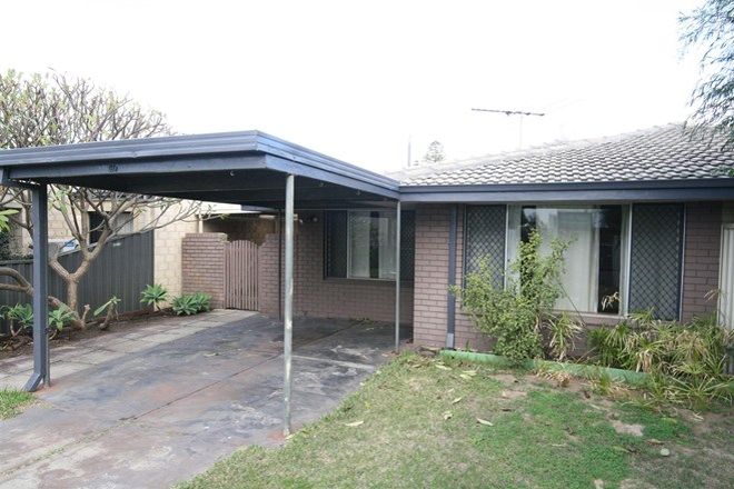 Picture of 91A Parkin Street, ROCKINGHAM WA 6168