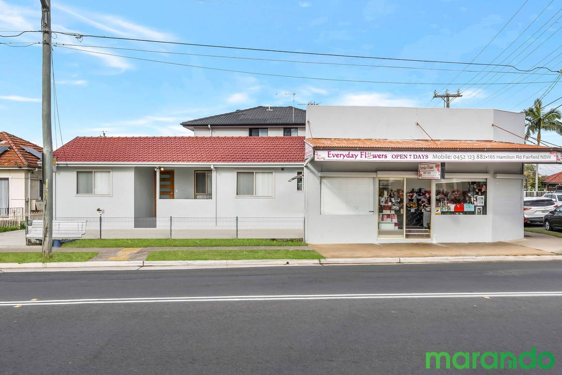 Picture of 163 Hamilton Road, FAIRFIELD NSW 2165