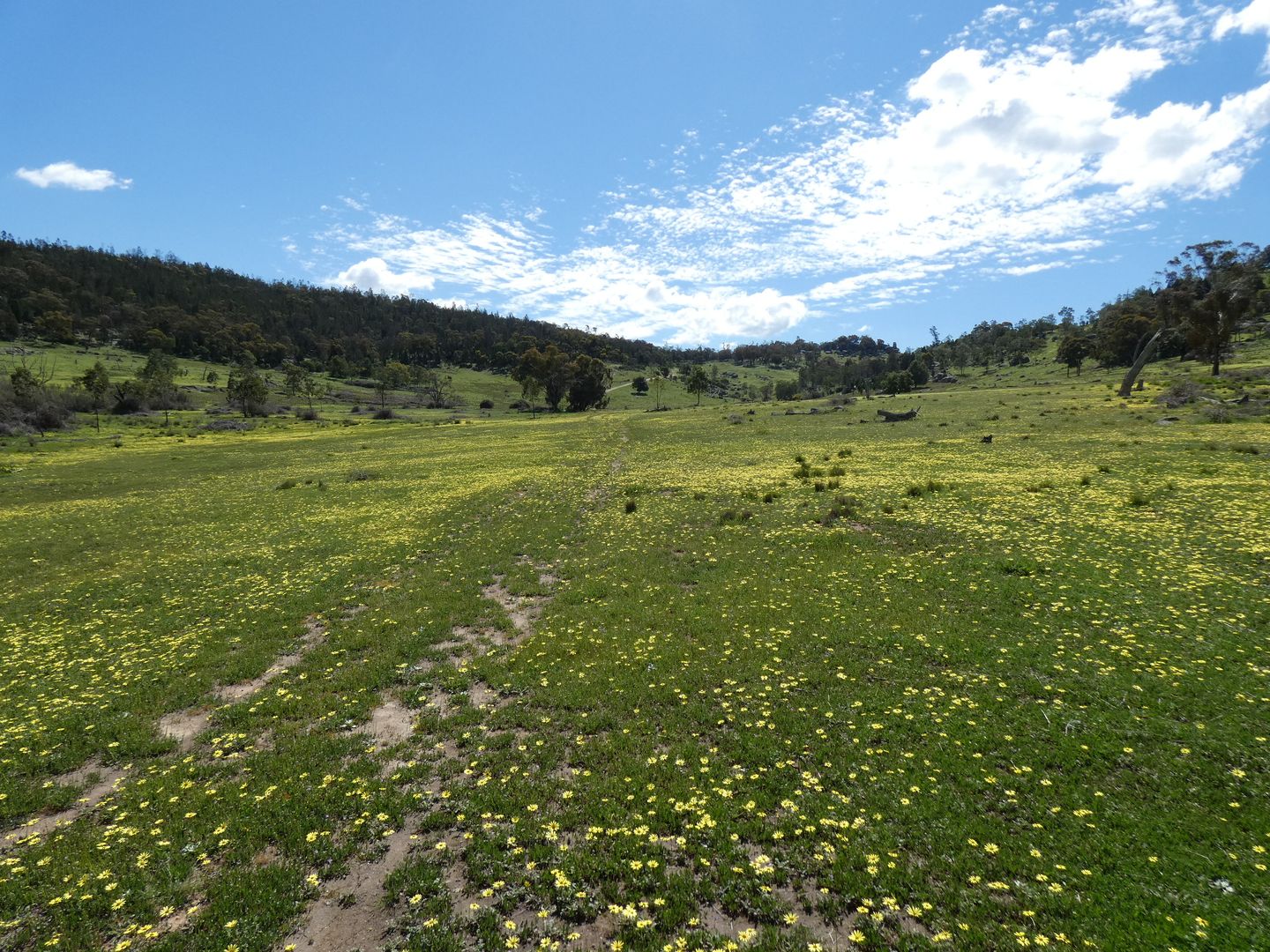 2063 Foggs Crossing Road, Reids Flat NSW 2586, Image 1