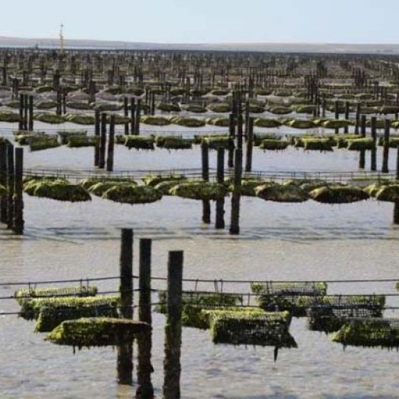 Oyster Lease For Sale, Streaky Bay SA 5680 House For Sale Domain