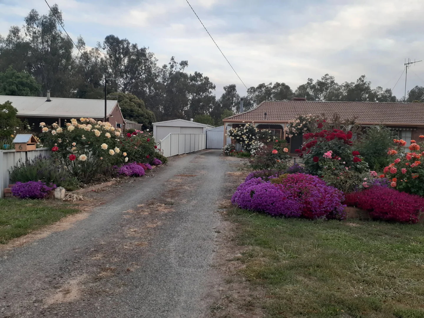 Image 19
