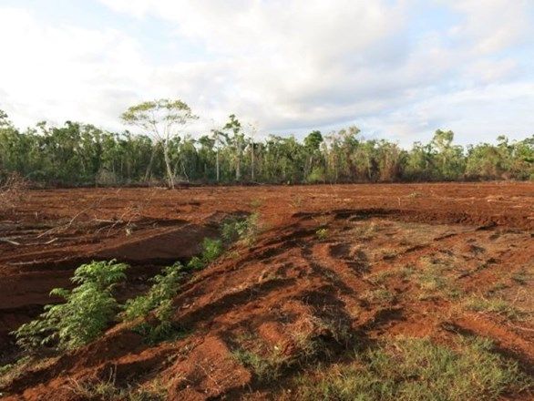 Picture of Lot 11 Isabella Mcivor Road, HOPE VALE QLD 4895
