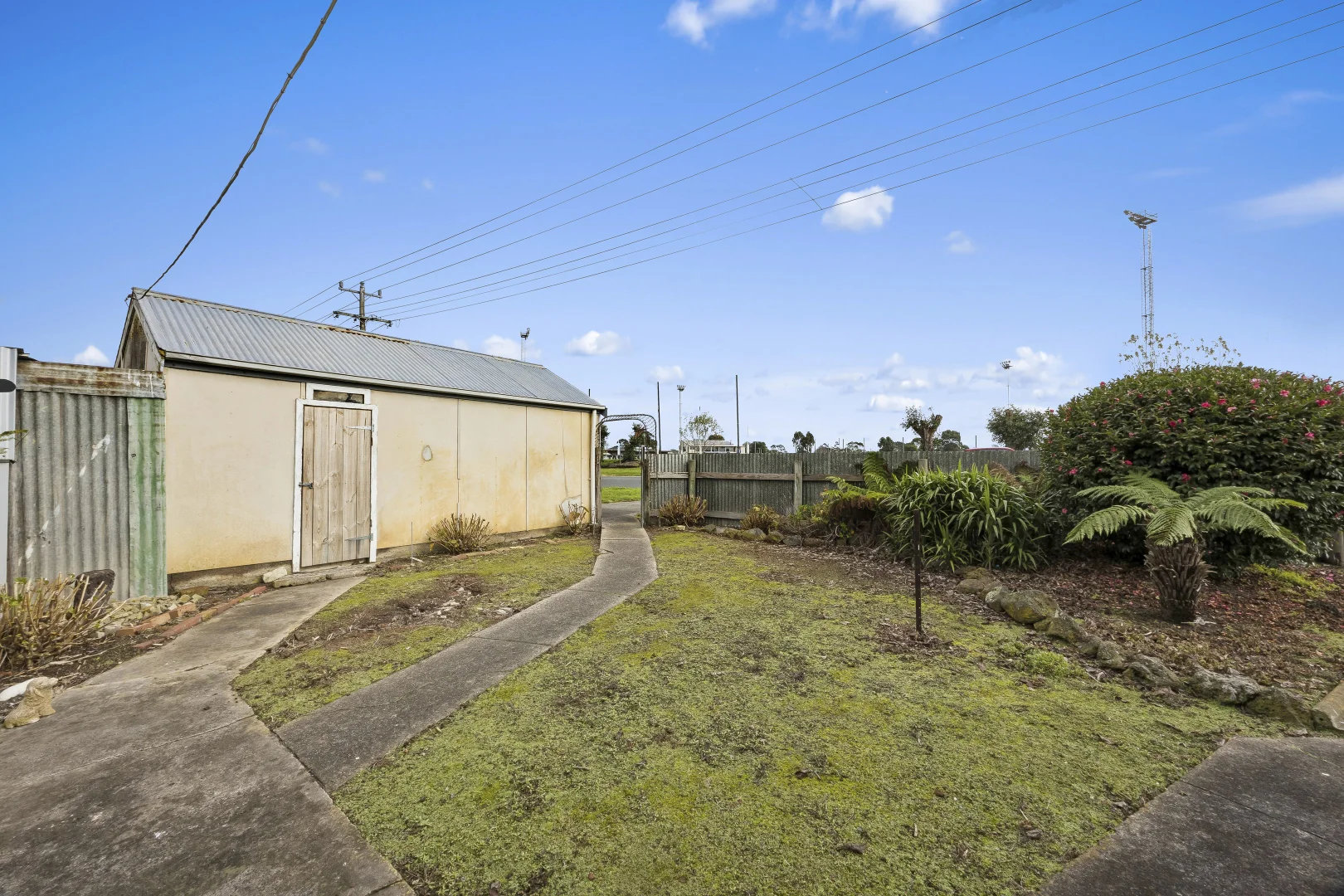 Image 12