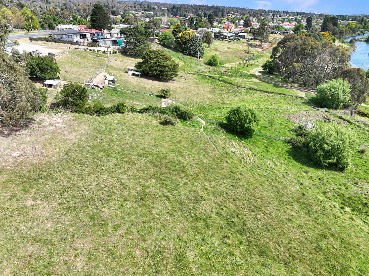 Image 13