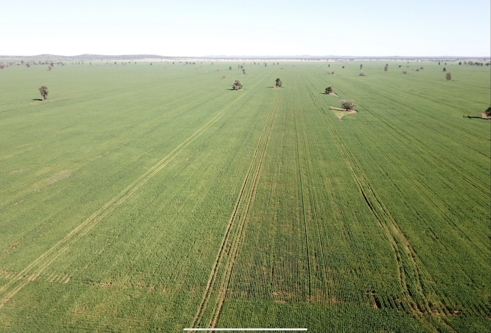 762 Cornells Road, Condobolin NSW 2877 Specialist Farm for Sale