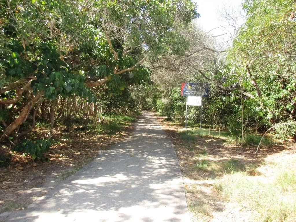 Additional image 15 of 39 Marcoola Esplanade, Marcoola QLD 4564