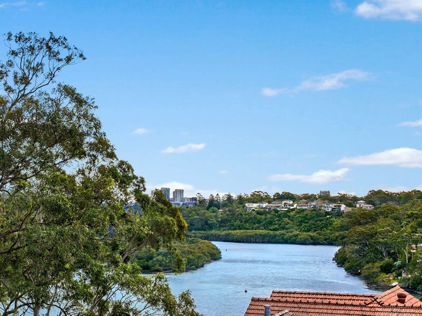 3 The Crescent, Linley Point NSW 2066, Image 1