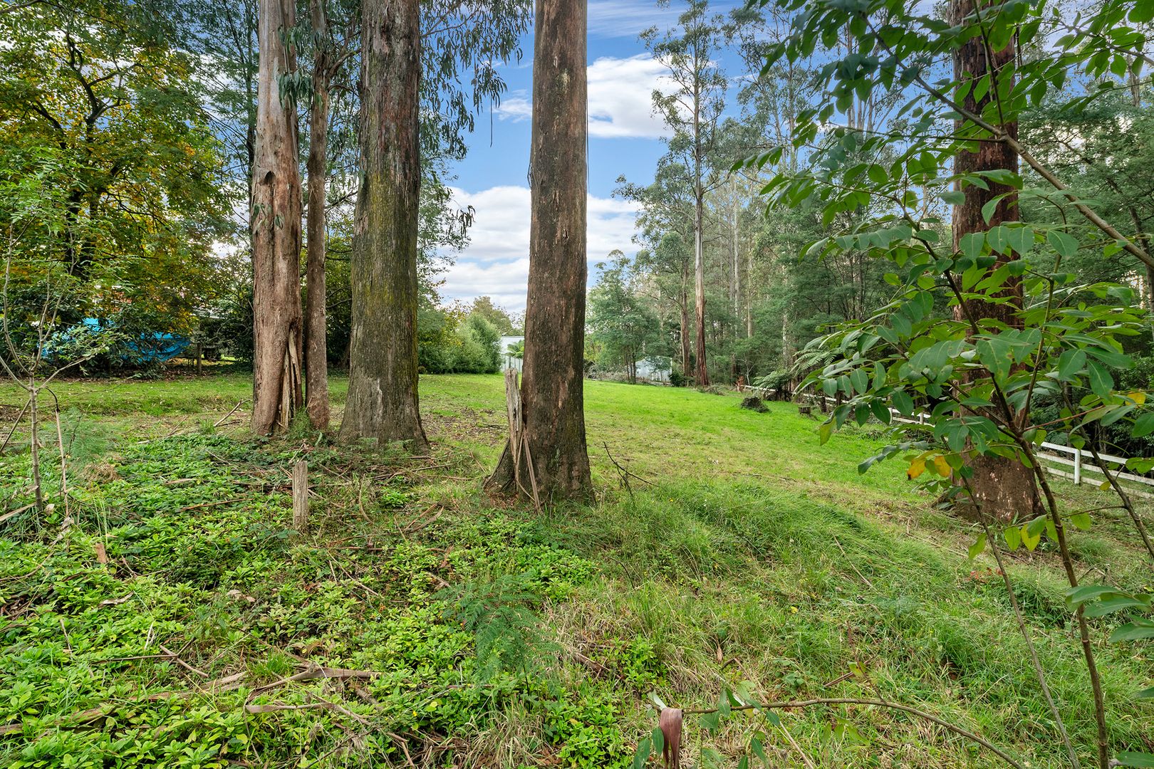 11 The Ridge, Kinglake VIC 3763, Image 2