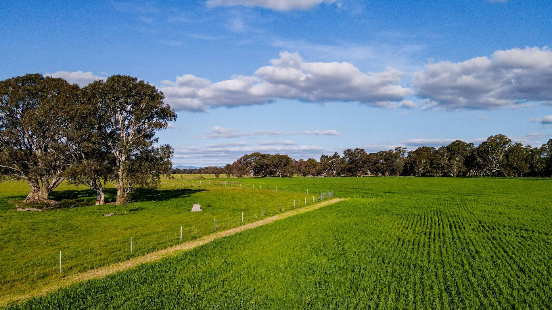 1241 Drysdale Road, Euroa VIC 3666 House for Sale Domain