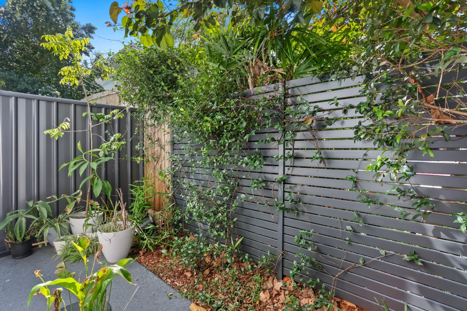 Additional image 12 of 6/24 Imperial Parade, Labrador QLD 4215