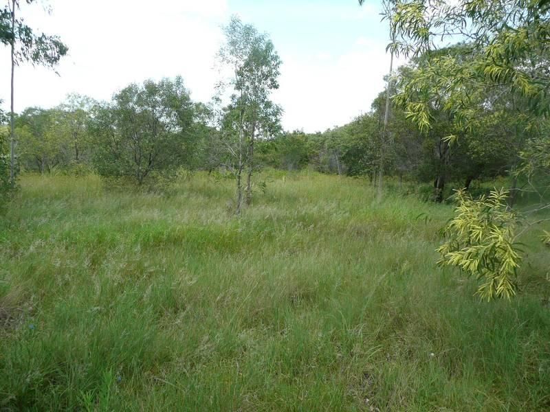 WALLAVILLE QLD 4671, Image 0