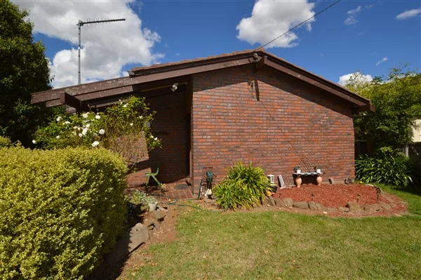 Image 15