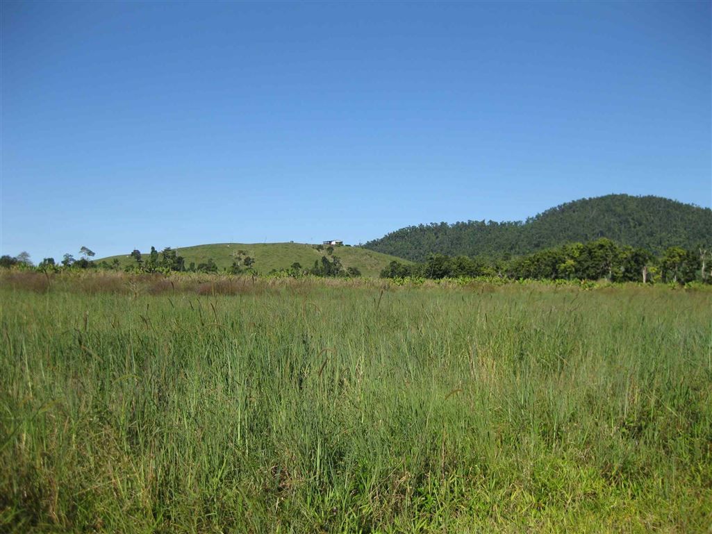 0 Dargin Road, Maria Creeks QLD 4855, Image 0