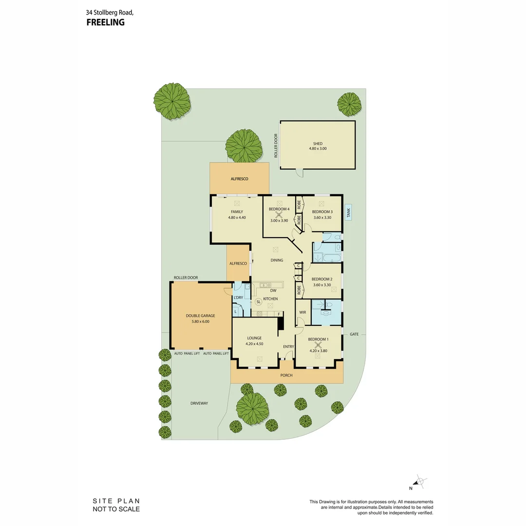 Image 18