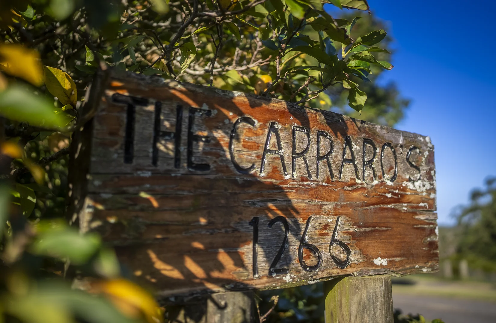 Additional image 8 of 1266 George Downes Drive, Kulnura NSW 2250