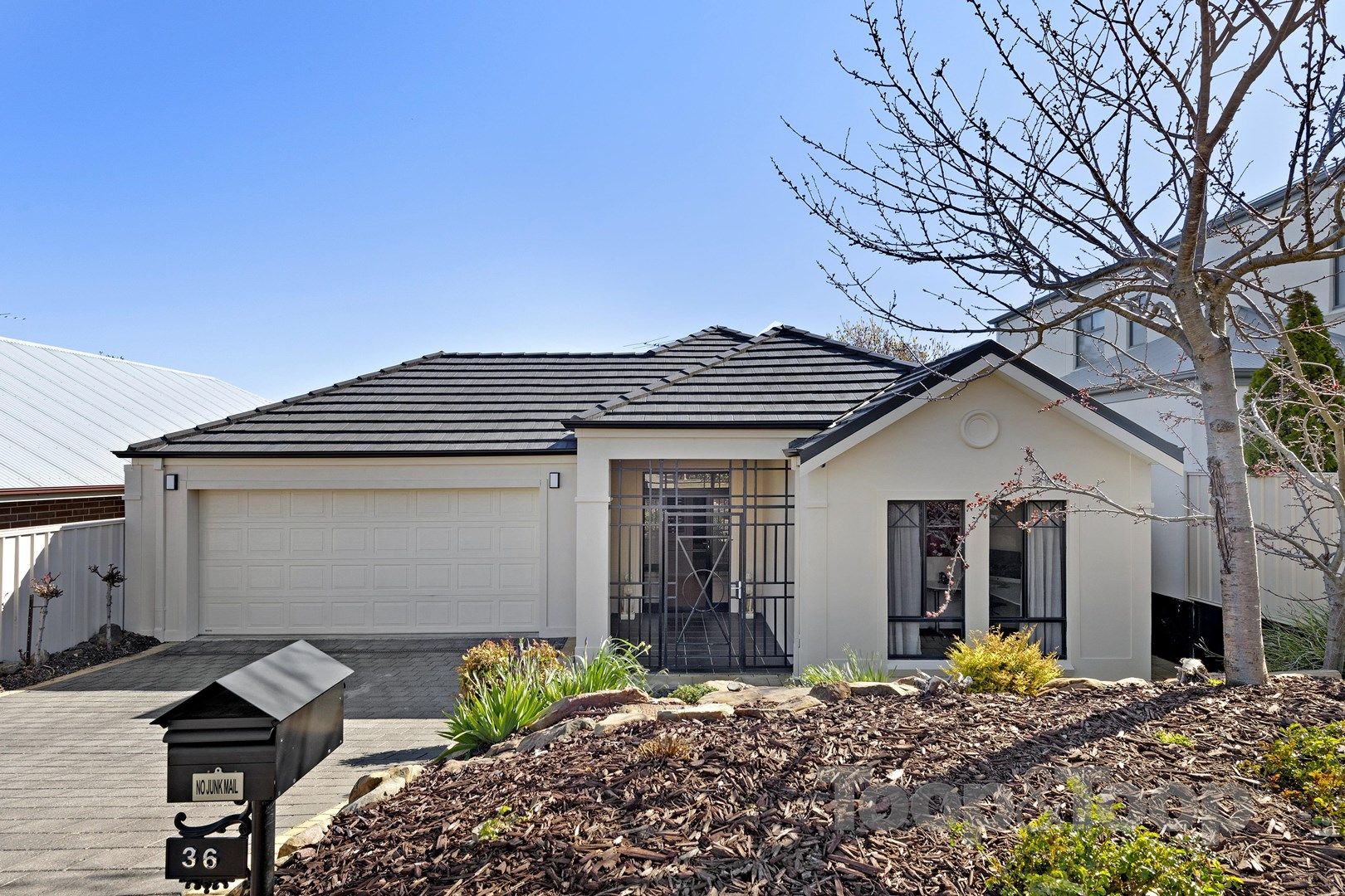 36 Grenache Circuit, Craigburn Farm SA 5051, Image 0