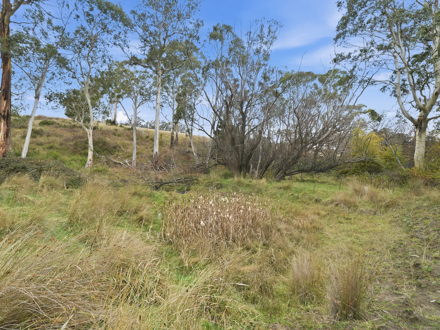 Image 13