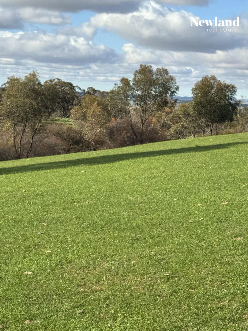 Additional image 5 of Lot 556 Kelly Road, Undalya SA 5451