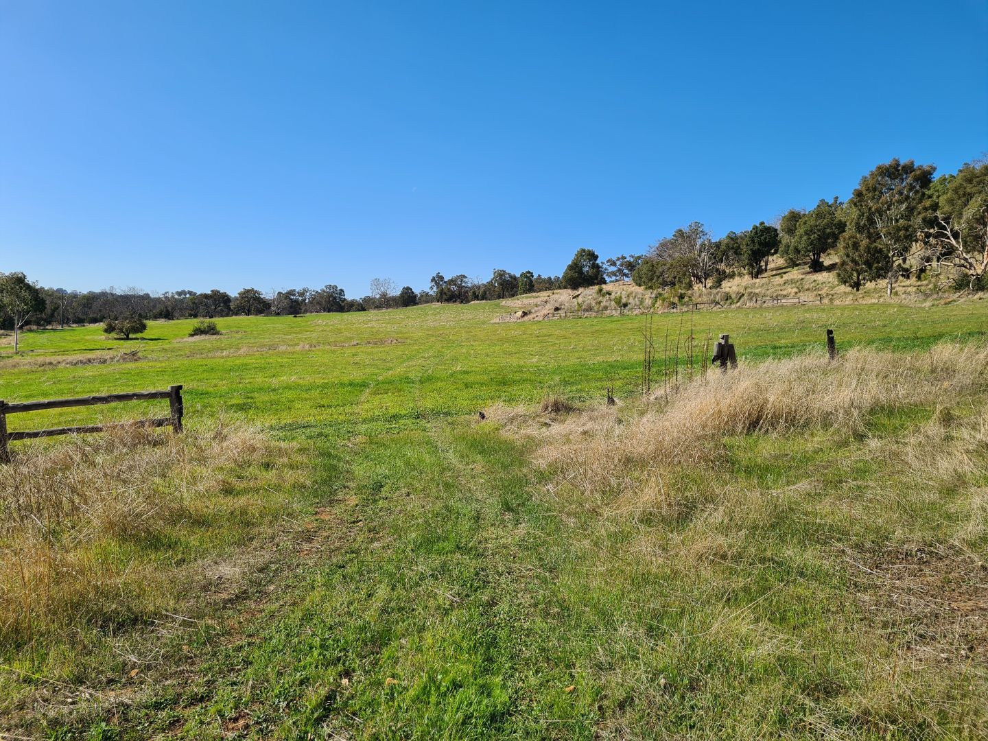 Toodyay Road, Gidgegannup WA 6083, Image 2