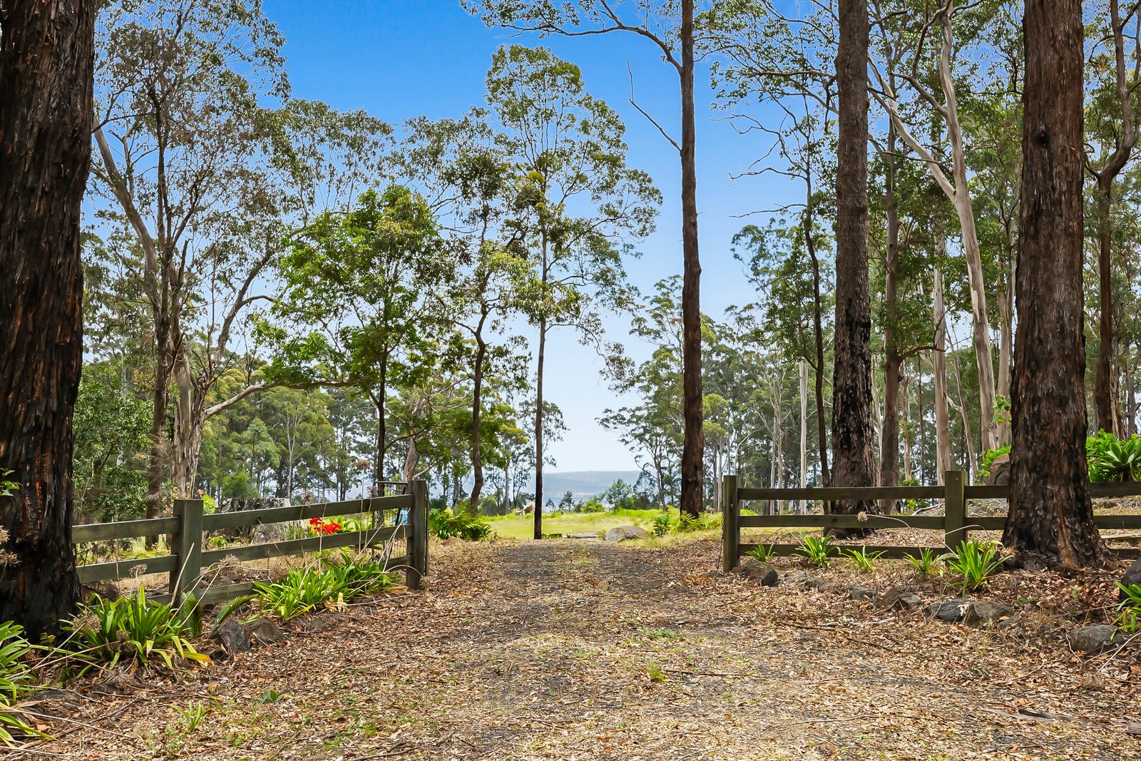 905J Main Western Road, Tamborine Mountain QLD 4272, Image 1