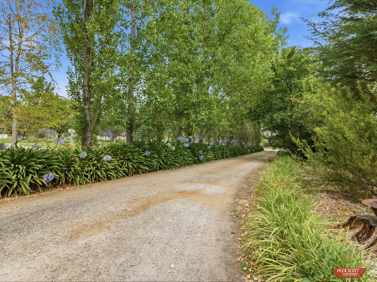 Image 38