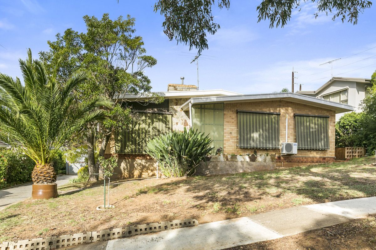 49 Yeelana Avenue, Seaview Downs SA 5049, Image 0