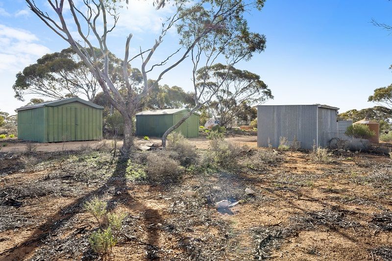 38 Petters Road, Morgan SA 5320, Image 2