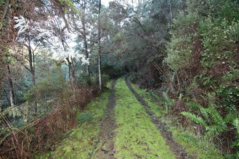 Lot 1 Castle Forbes Road, CASTLE FORBES BAY TAS 7116, Image 0