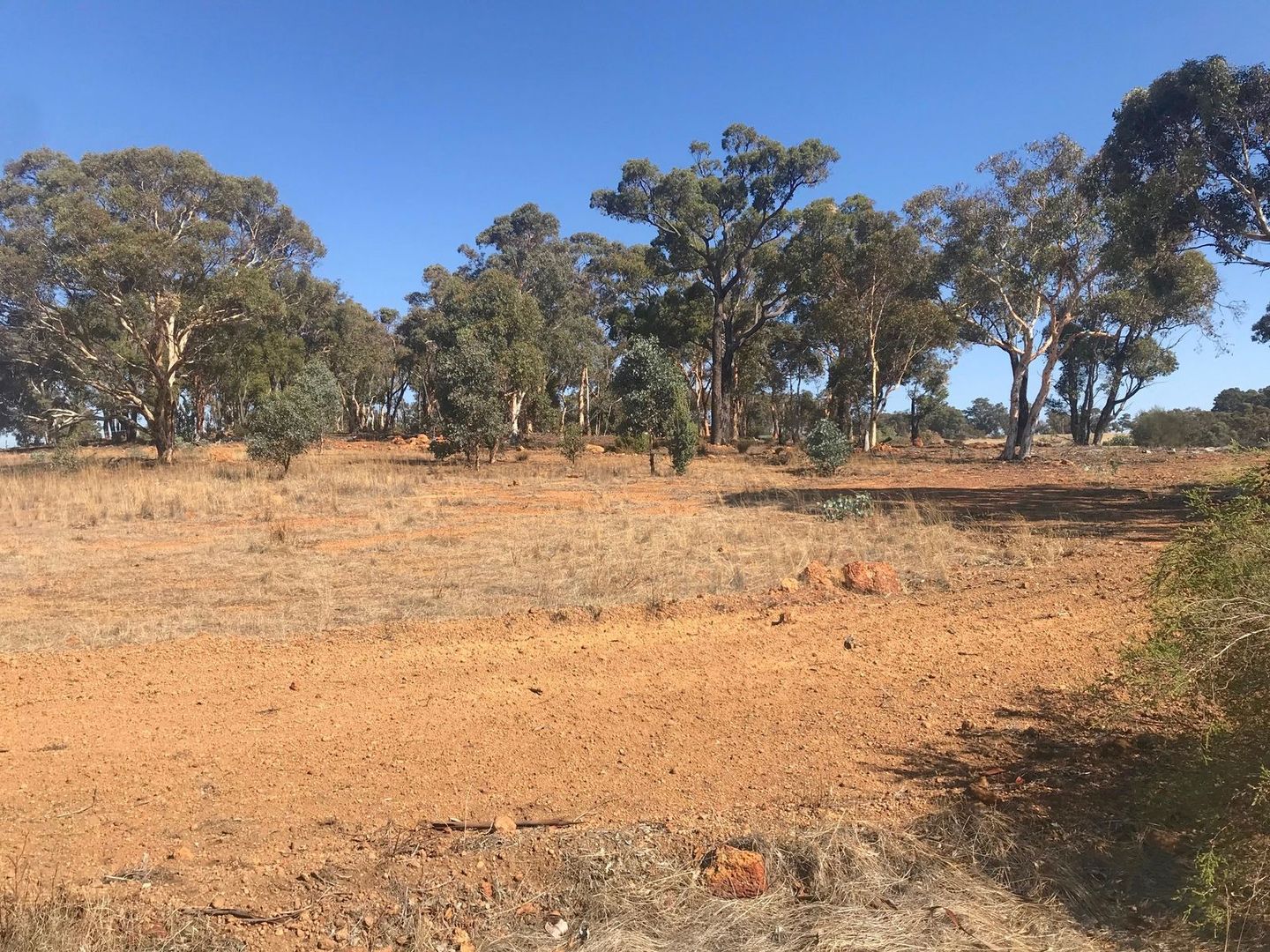 Lot 4 Mellows Road, Wandering WA 6308, Image 2