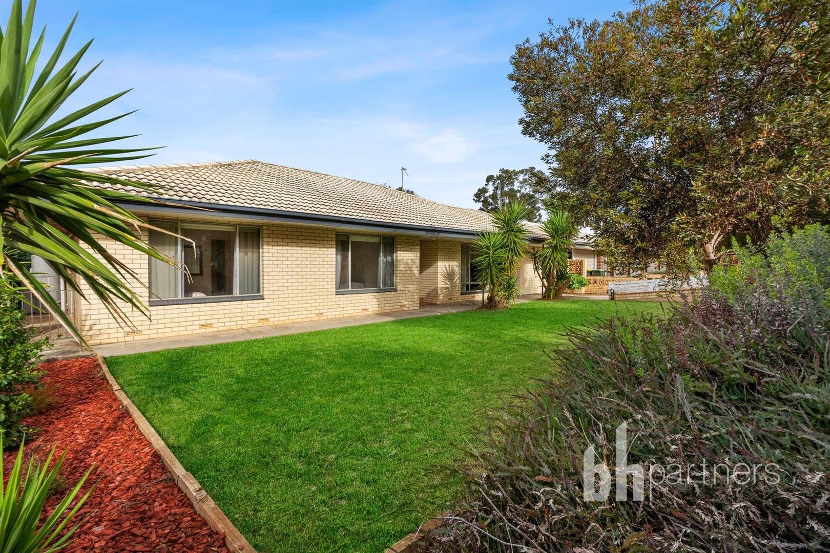 8 Aitken Street, Berri SA 5343, Image 0