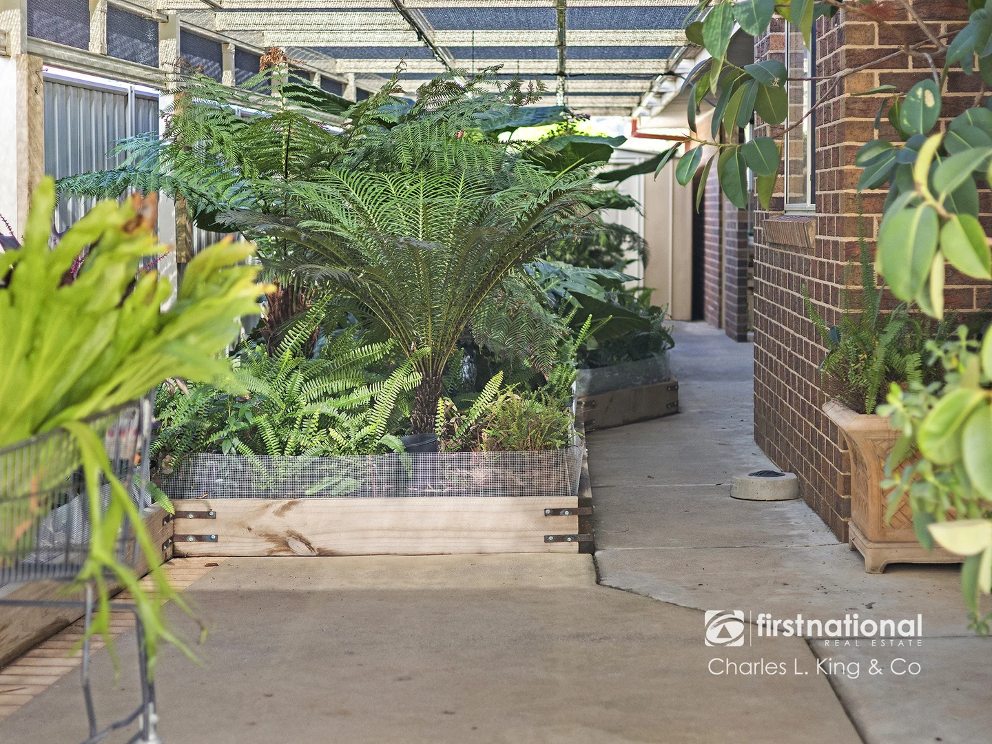 Image 13