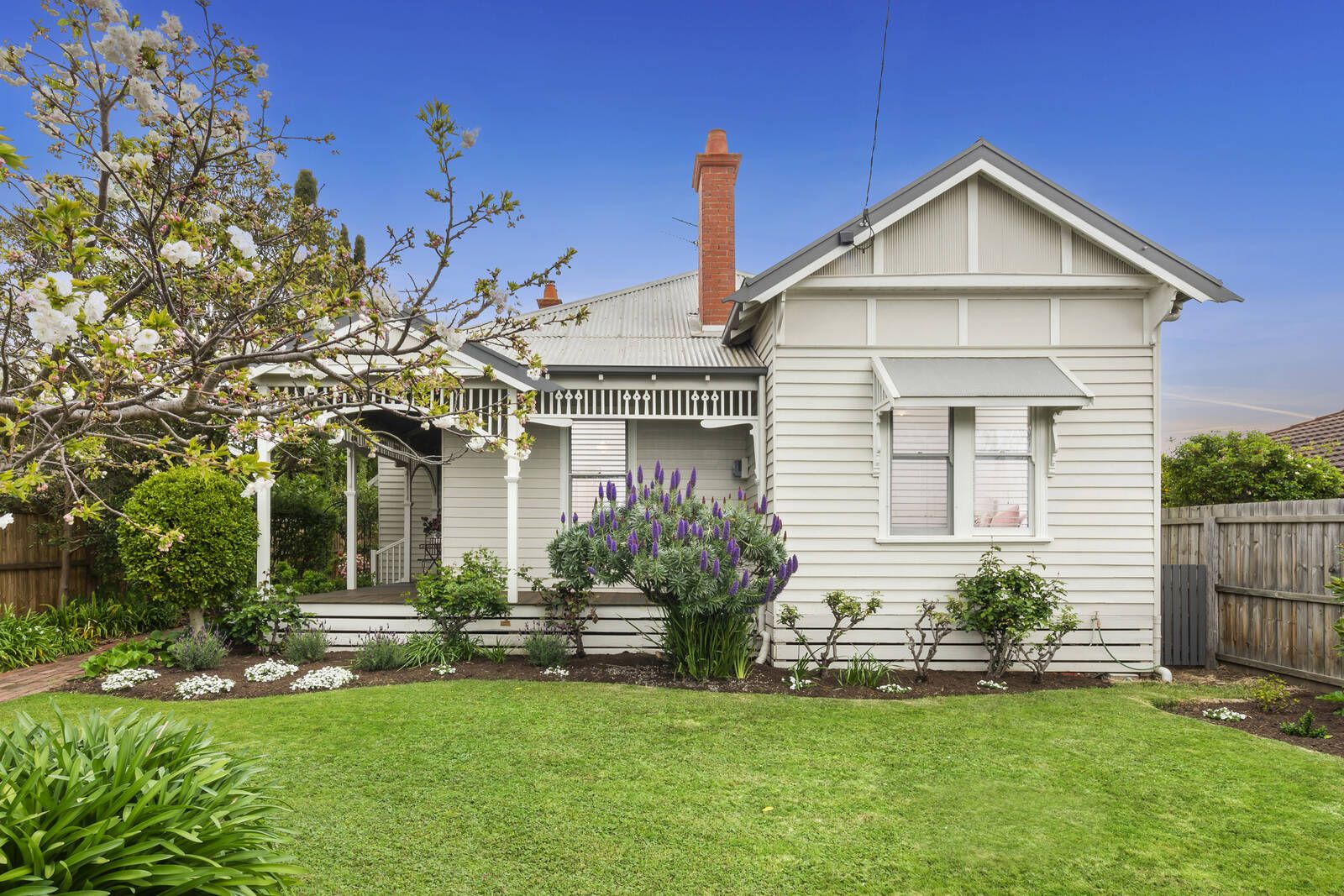 131 Aberdeen Street, Newtown VIC 3220, Image 0